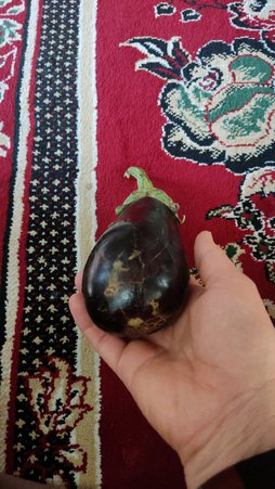 خیلی خط و خش بادمجان د
