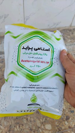 خط و خش بادمجان