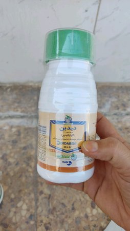 آریس