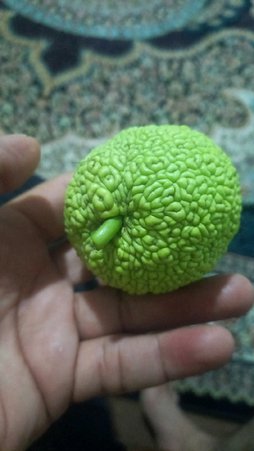 این میوه چه دختی است