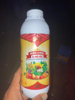 آریس