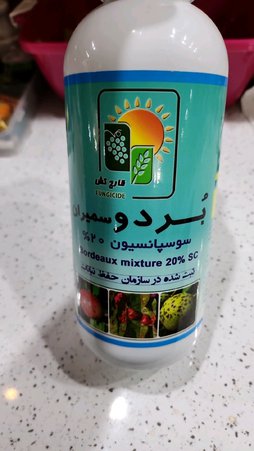 گلآریس
