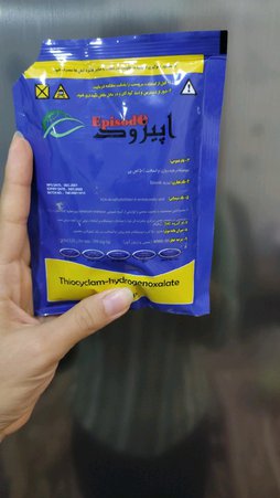 گلآریس