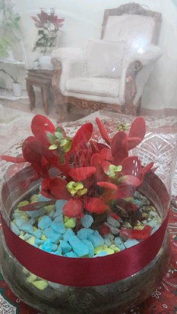 گلآریس