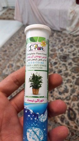 گلآریس