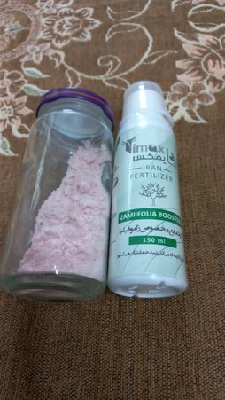 گلآریس