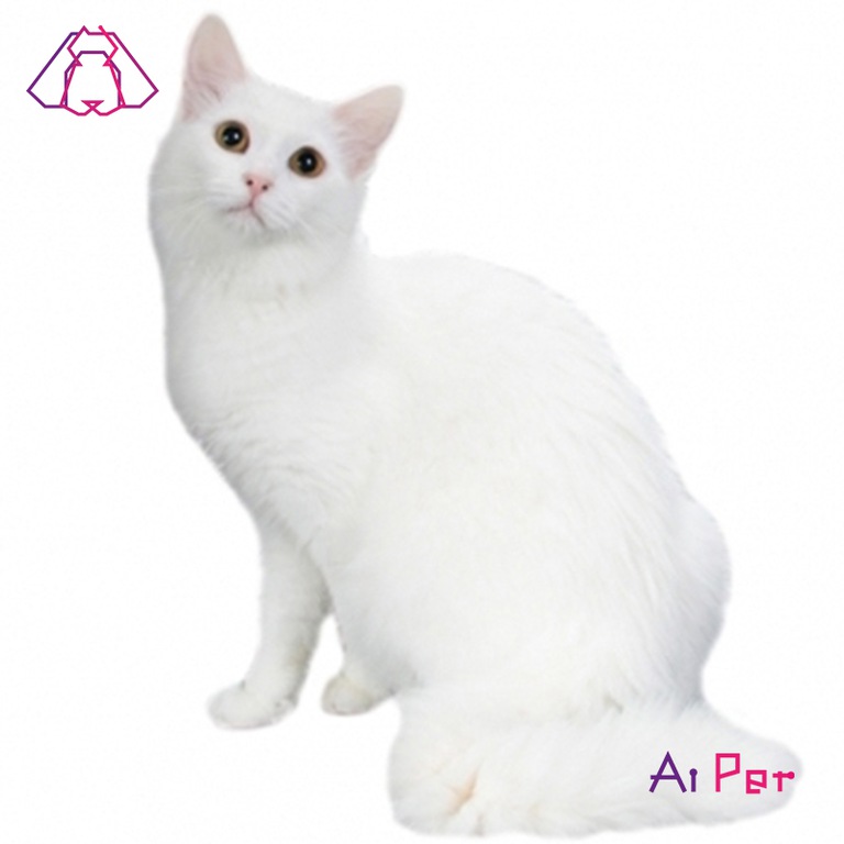 غول آفرودیت-3